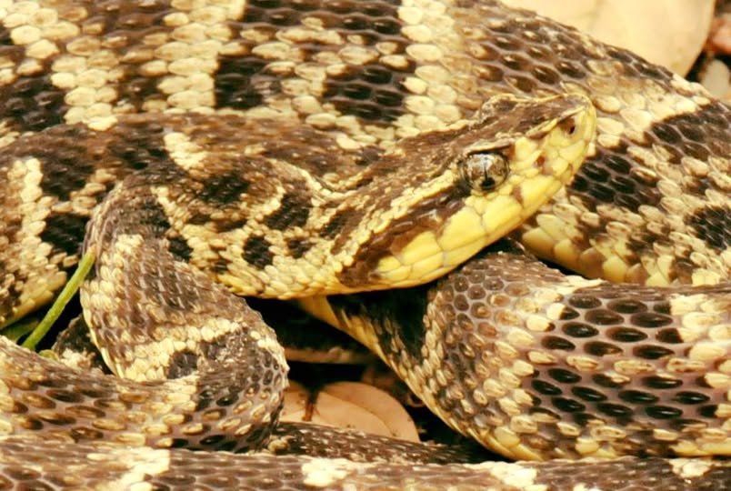 Imagen de cuerpo de nota