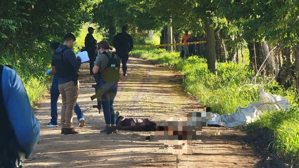 Imagen de cuerpo de nota