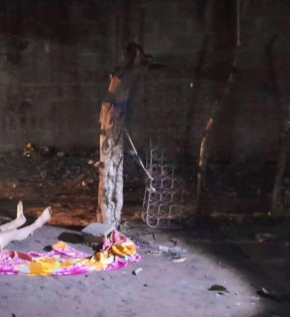 Imagen de cuerpo de nota