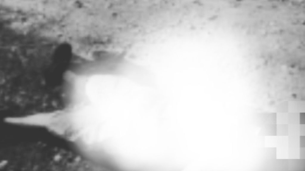 Imagen de cuerpo de nota