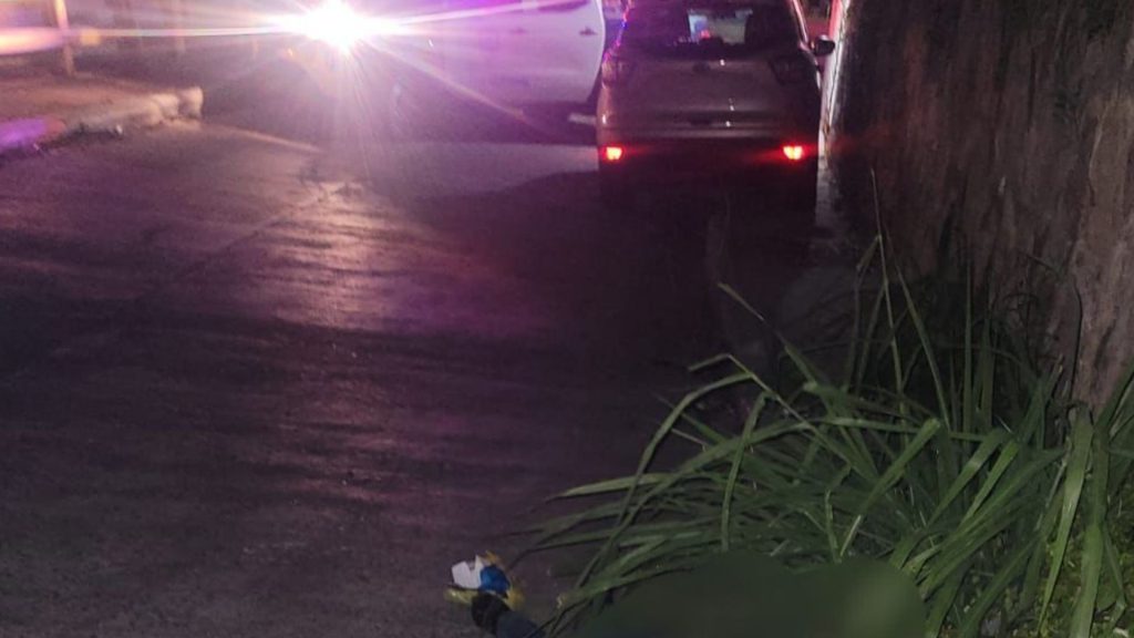 Imagen de cuerpo de nota