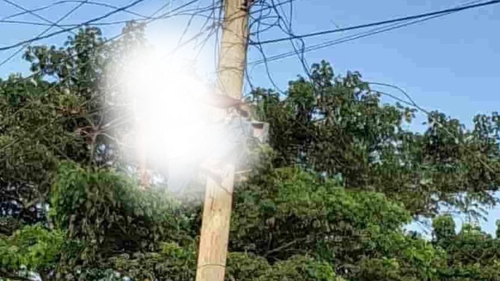 Imagen de cuerpo de nota