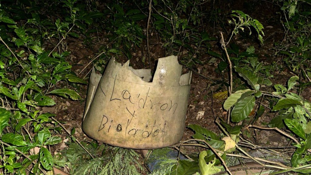 Imagen de cuerpo de nota