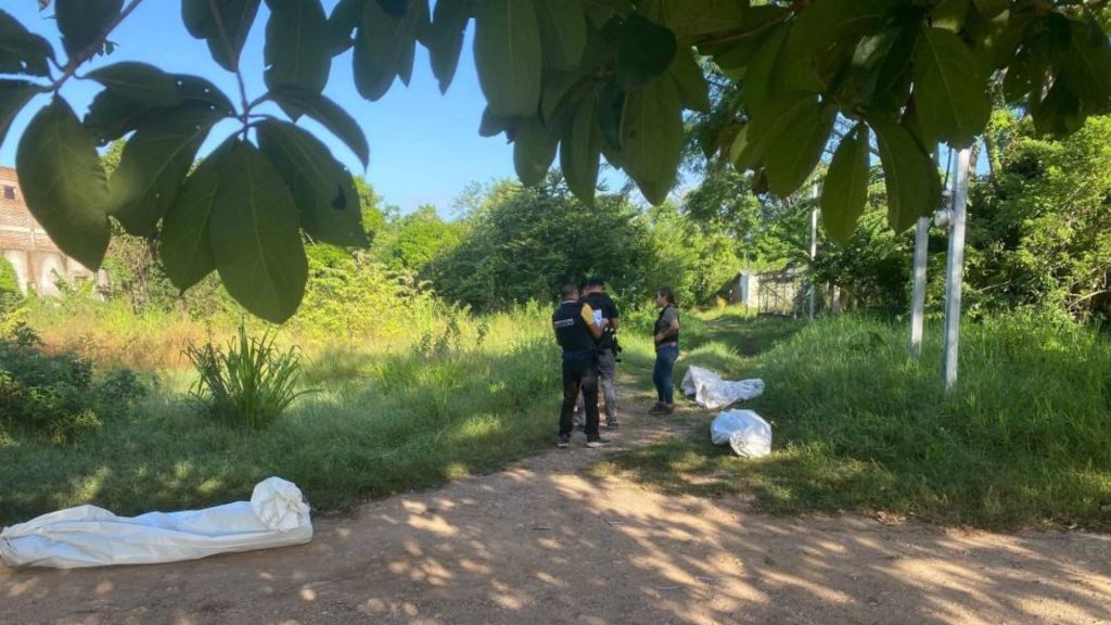 Imagen de cuerpo de nota