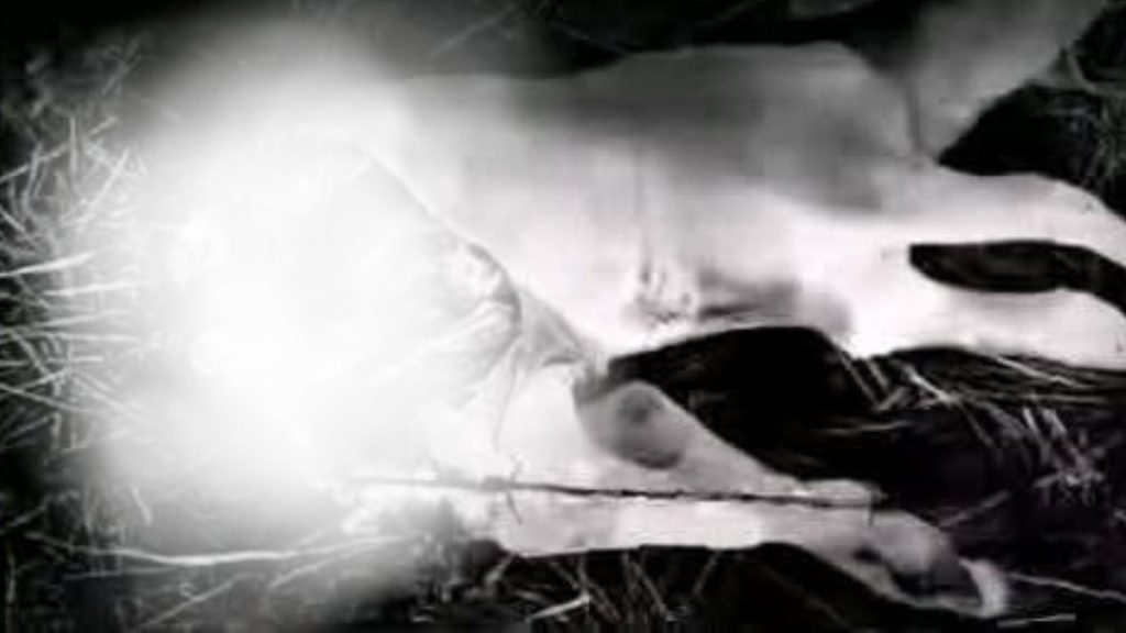 Imagen de cuerpo de nota