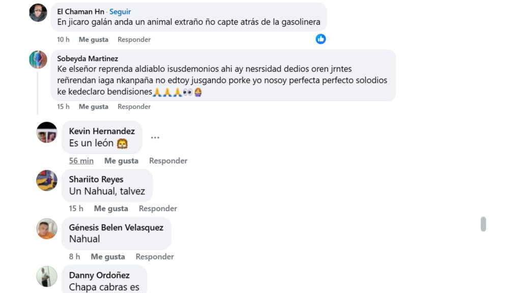 Imagen de cuerpo de nota