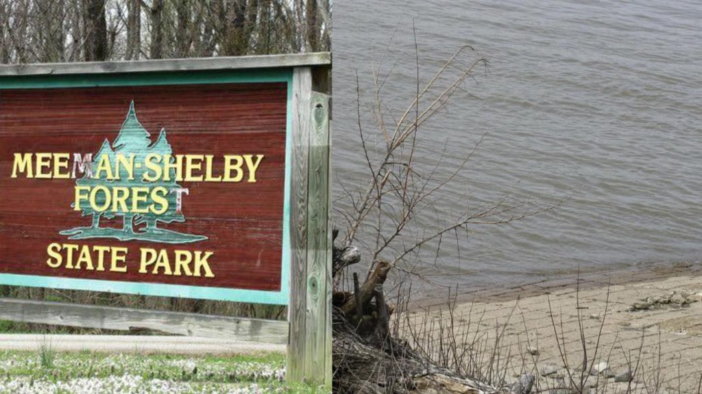 Imagen de cuerpo de nota