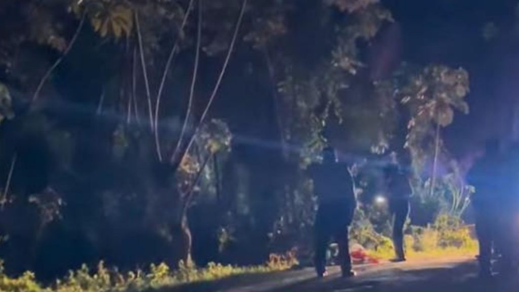 Imagen de cuerpo de nota