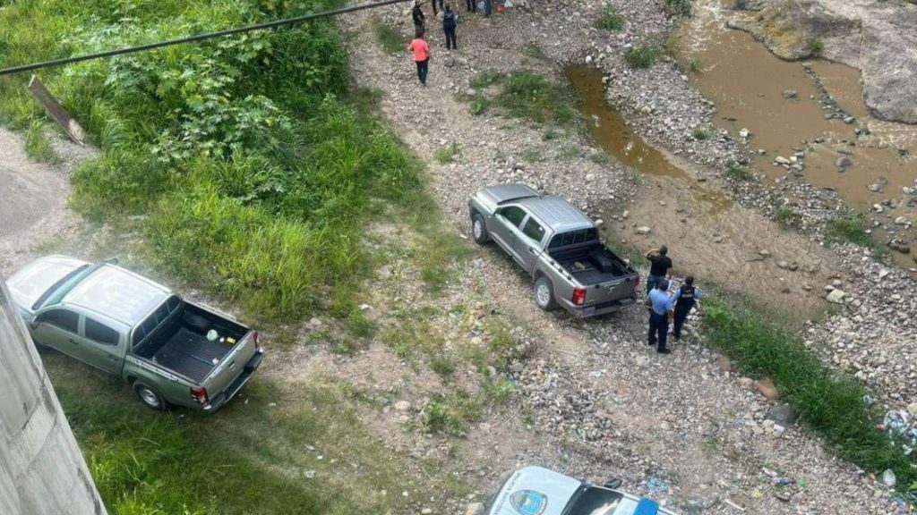 Imagen de cuerpo de nota