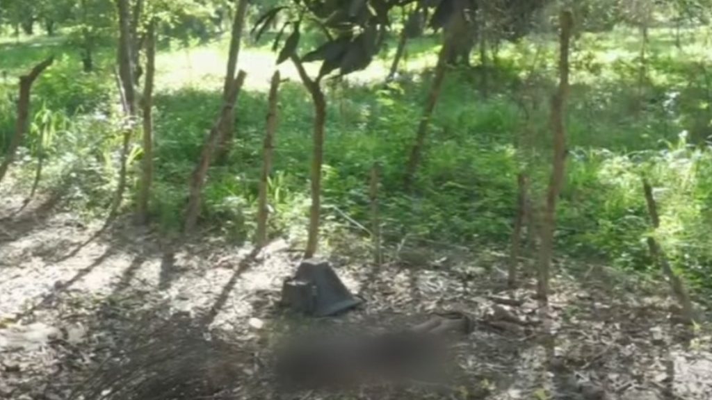 Imagen de cuerpo de nota