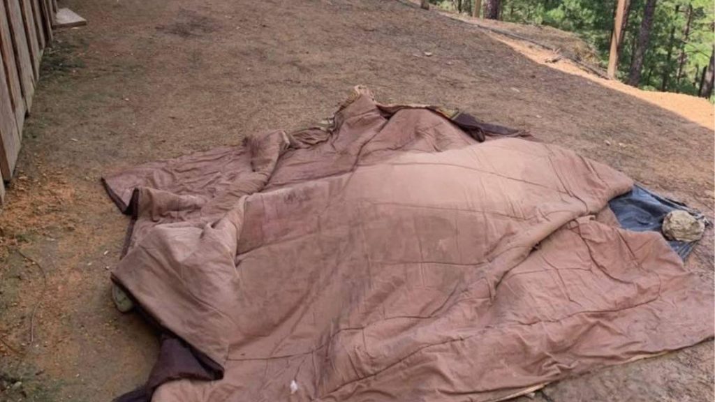 Imagen de cuerpo de nota