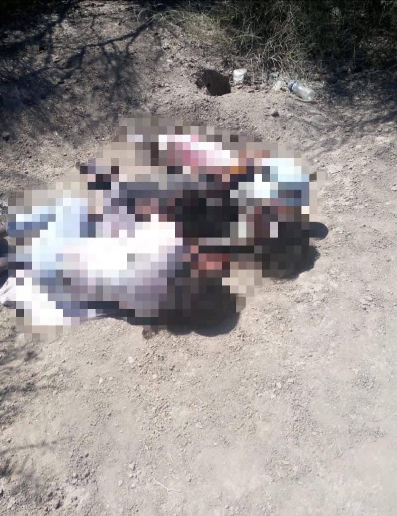 Imagen de cuerpo de nota