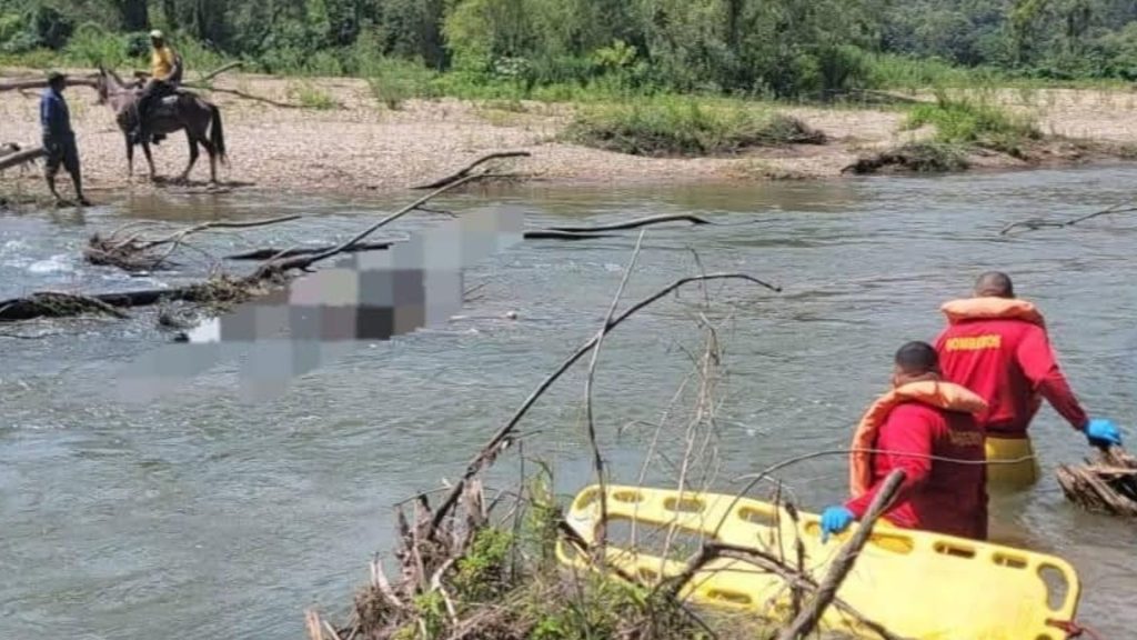 Imagen de cuerpo de nota