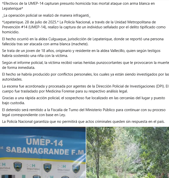 Captura de pantalla de la publicación