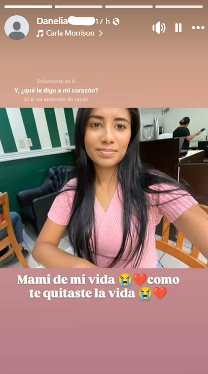 Captura de pantalla de la publicación