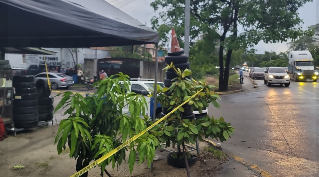 Imagen de cuerpo de nota