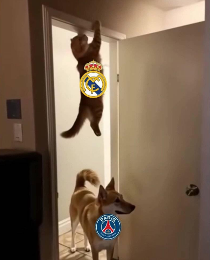 Imagen de cuerpo de nota