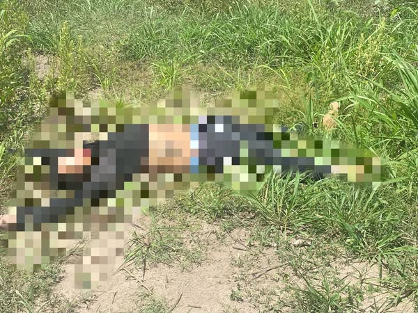 Imagen de cuerpo de nota