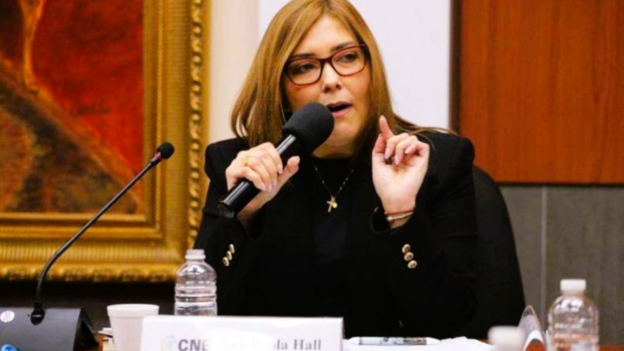Estas serían implicaciones de renuncia de Ana Paola Hall, según analistas