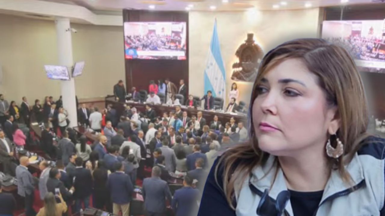 'Basta de hostigamiento': Ana Paola Hall tras zafarrancho en el Congreso