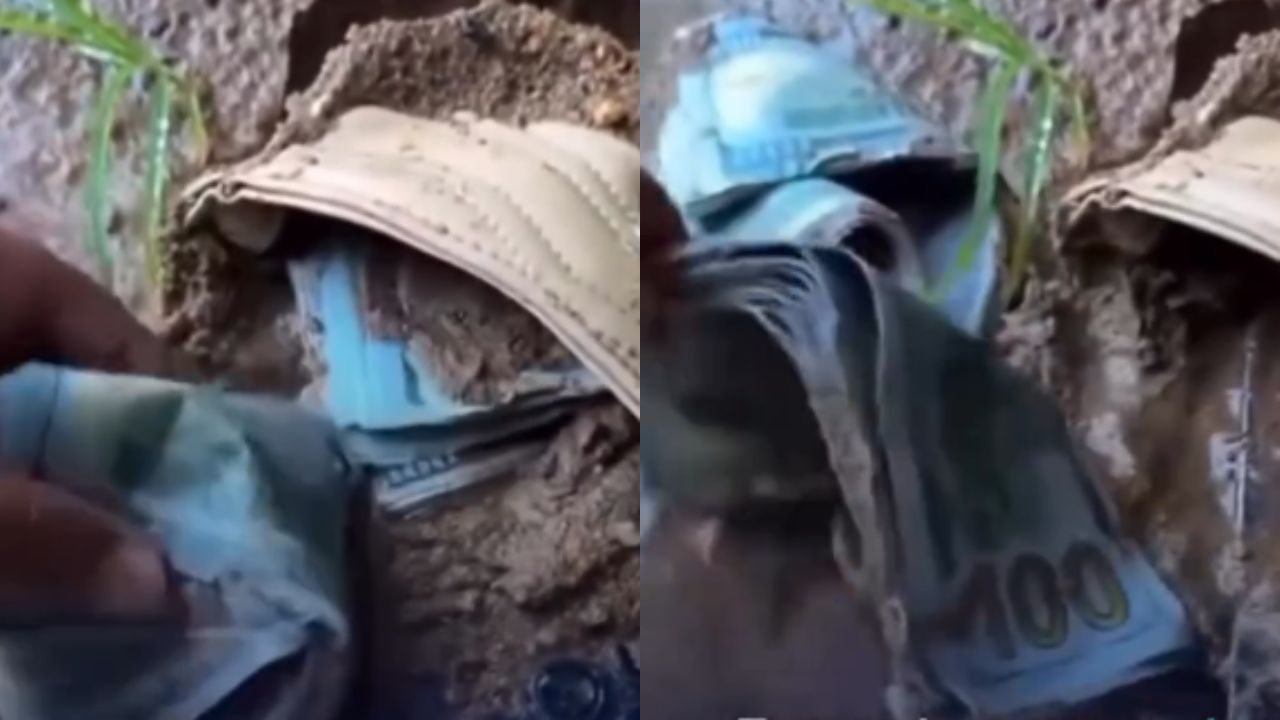 Vídeo: Hombre halló miles de dólares en una cartera arrastrada por un río