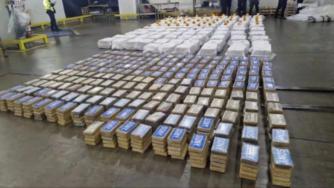 Incautan en Costa Rica 810 kilos de cocaína en contenedor con destino a Reino Unido