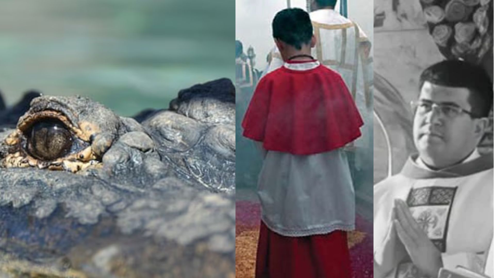 Imagen de 'Quería verlos de cerca': niño monaguillo muere devorado por cocodrilos en paseo