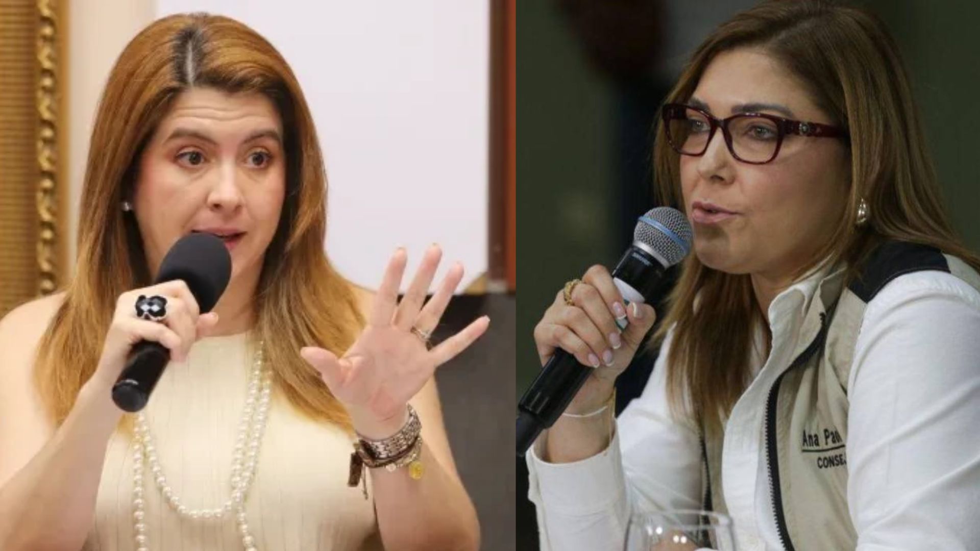 Imagen de ¿Qué pasaría si se remueve a consejeras López y Hall? Esto advierten expertos