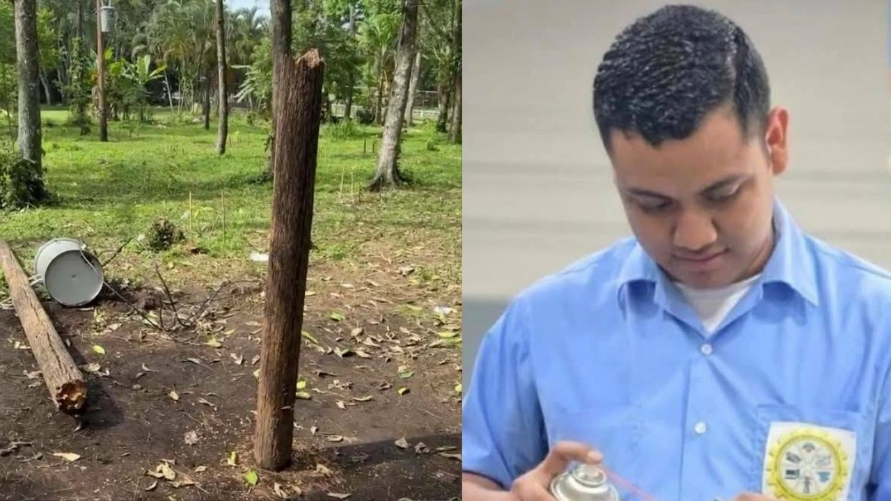 Un estudiante muerto y otro herido tras caída de poste del tendido eléctrico en Yojoa