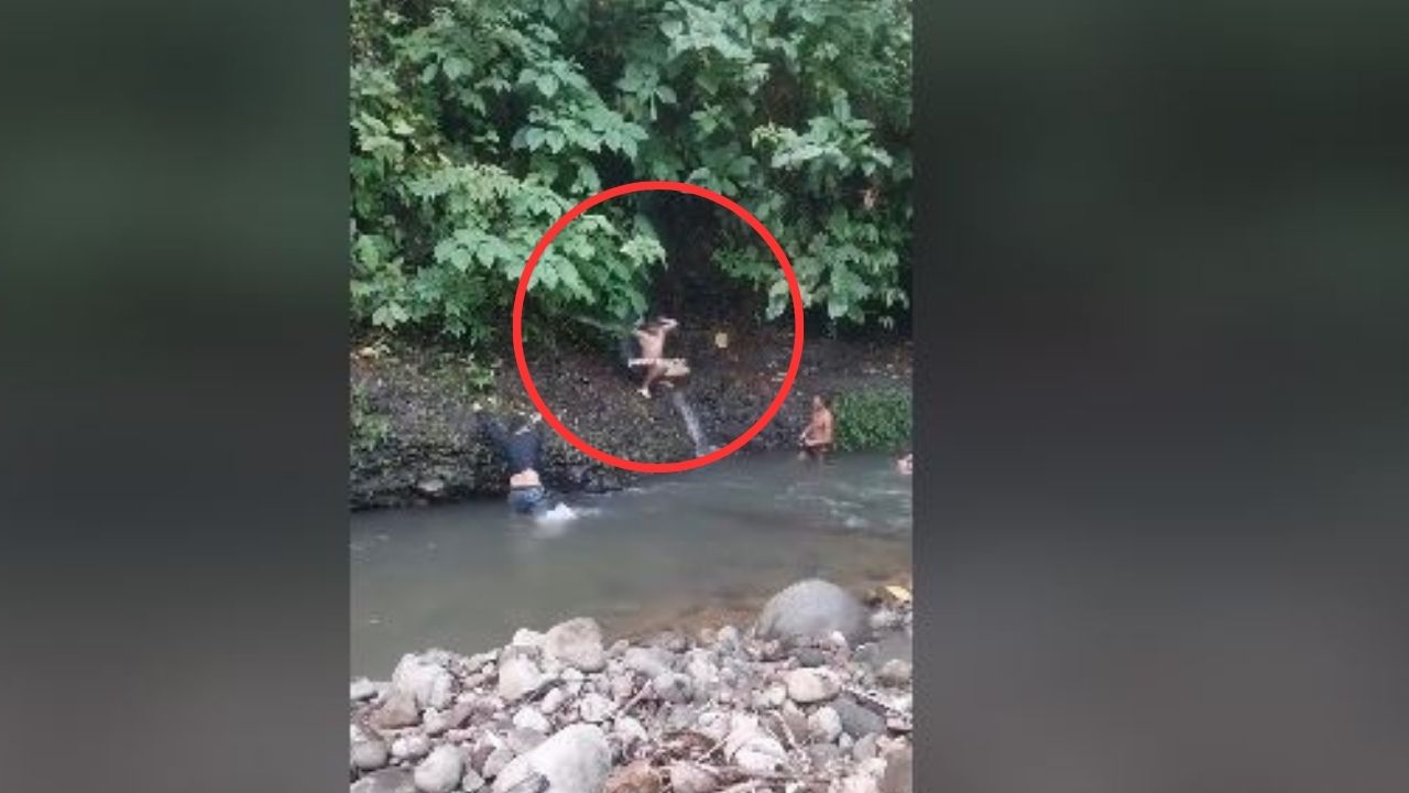 Graban el momento en que una serpiente ataca a un joven en un río