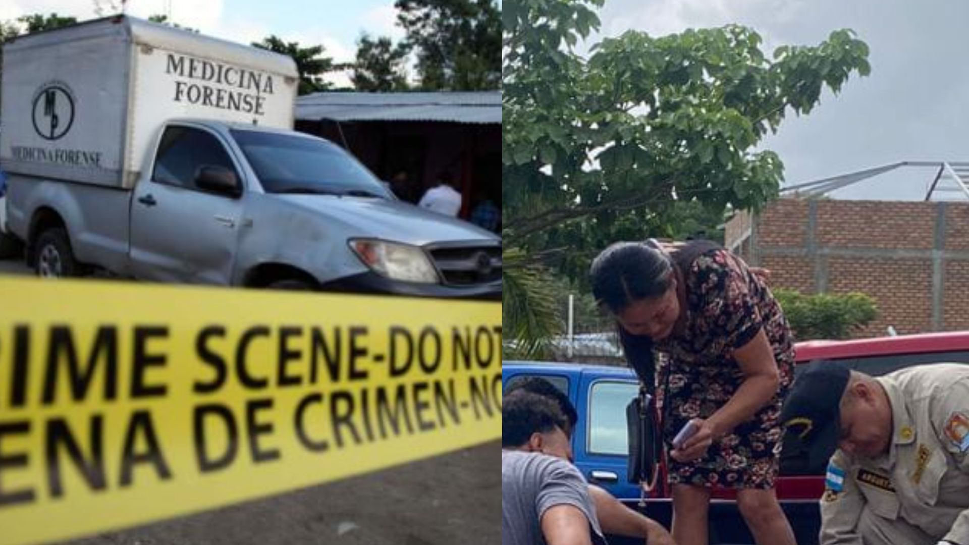 Imagen de 'Salió a hacer un mandado': sicarios acribillan a hondureño que esperaba bus