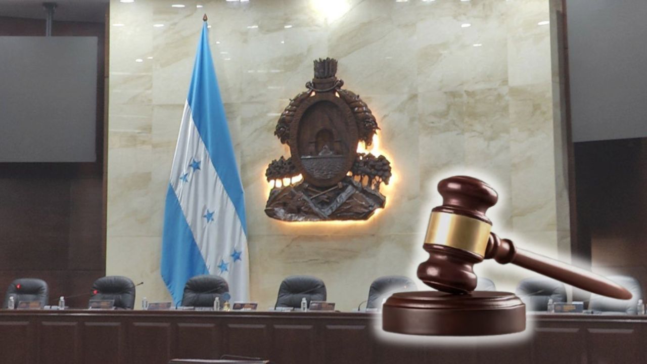 Diputada pedirá juicio político contra consejeros suplentes del CNE por este motivo