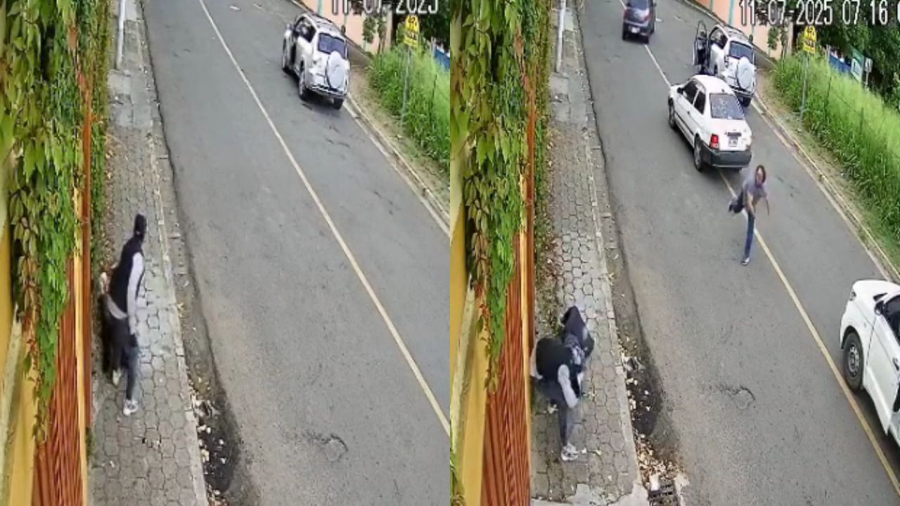Graban momento en que ciudadanos someten a ladrón tras asalto a una mujer en el DC