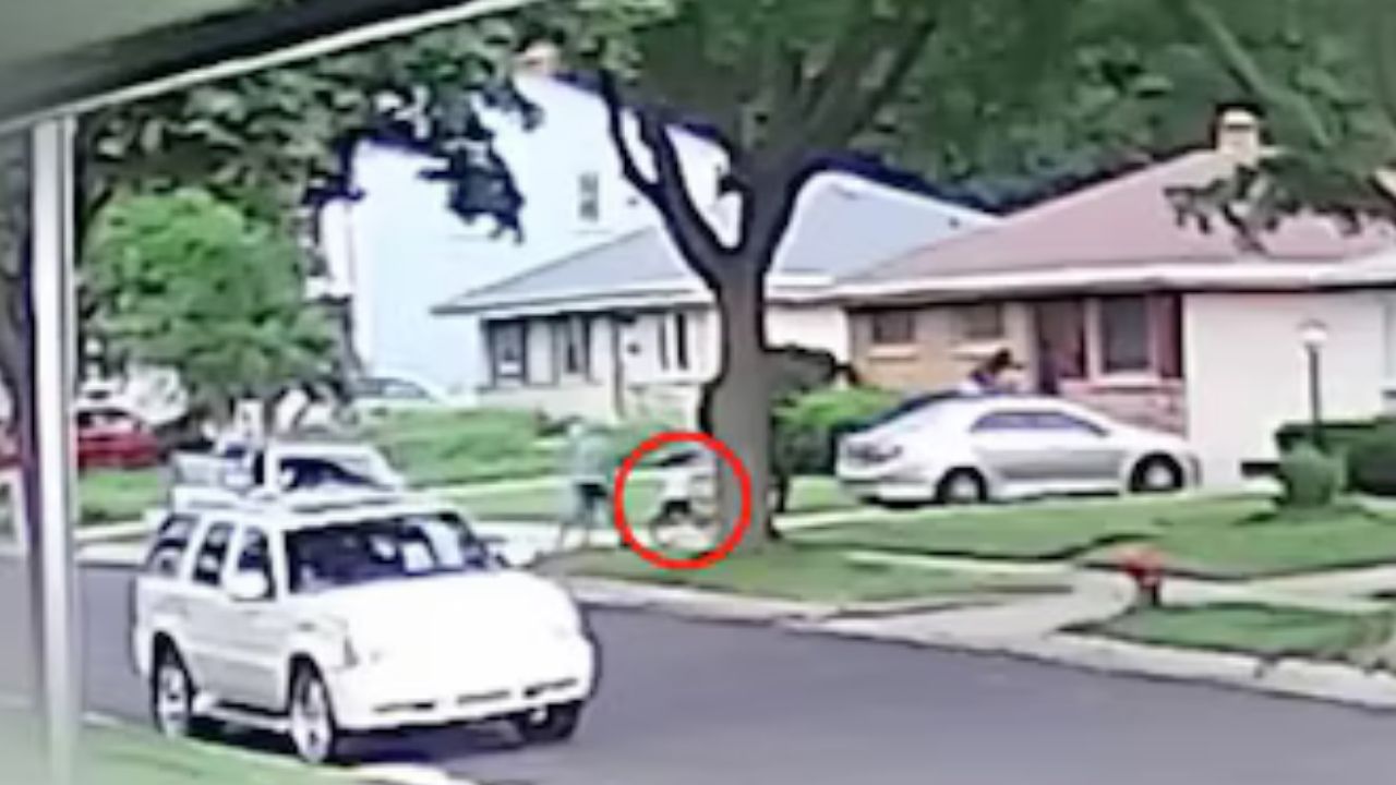 'Claro que corrí': Graban cuando padre huye mientras raptan a su hijo