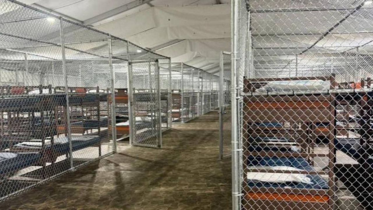 Imagen de 750 migrantes están en jaulas en el 'Alligator Alcatraz' de EE. UU., según denuncias