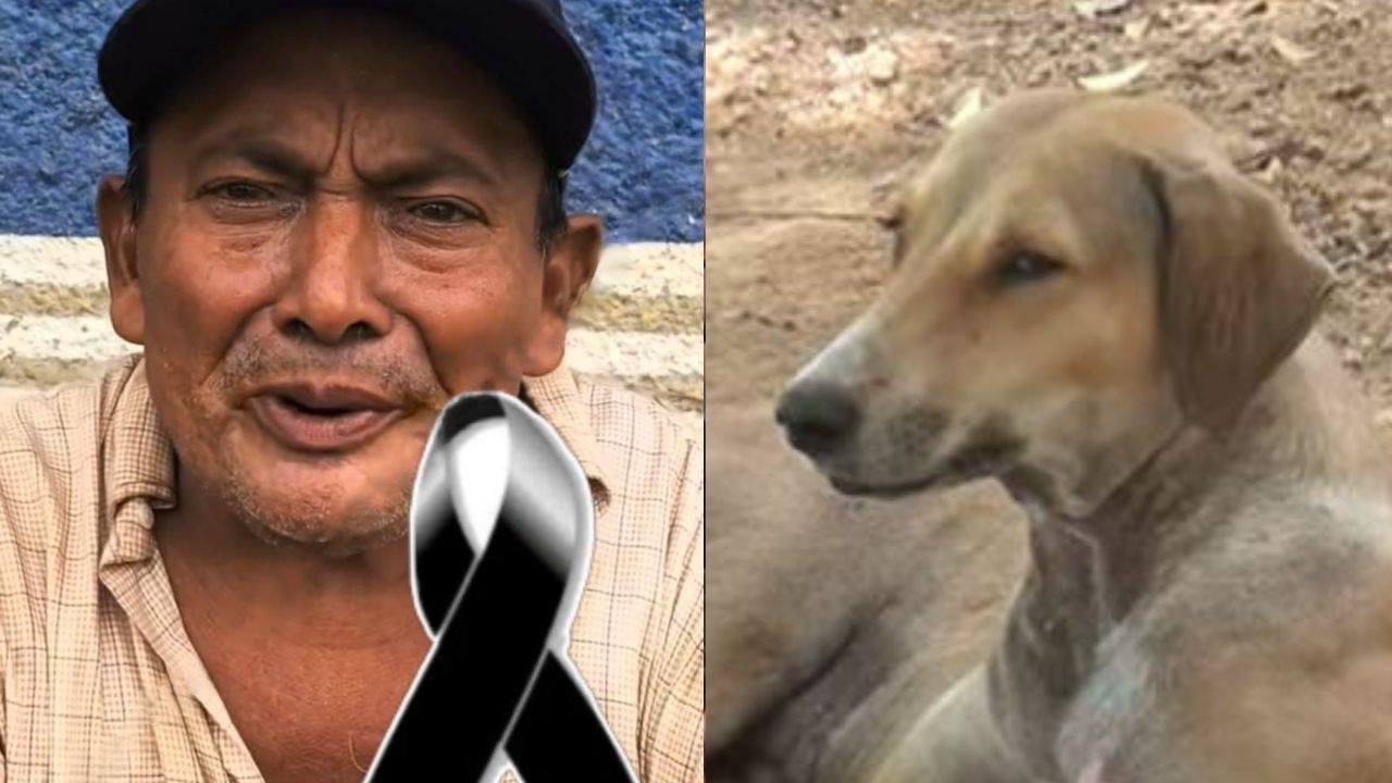 Adulto mayor habría muerto por mordida de perro en Choluteca; analizan si sacrificar al animal