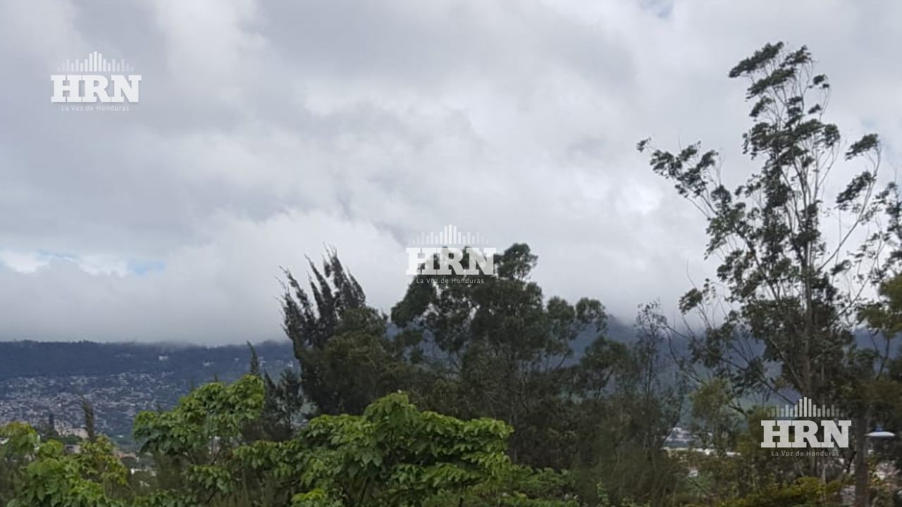 Imagen de Lluvias seguirán en estas zonas; ¿Cuántas ondas tropicales por semana habrá?