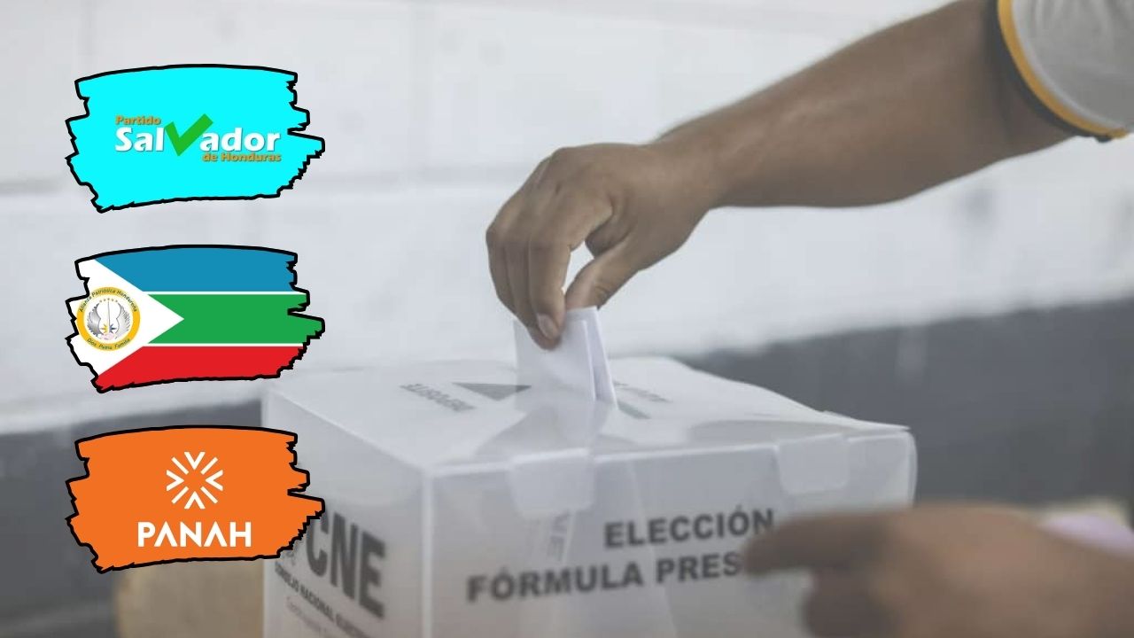 Este será futuro de PSH, APH y Panah tras resolución de TJE, ¿irán a elecciones?