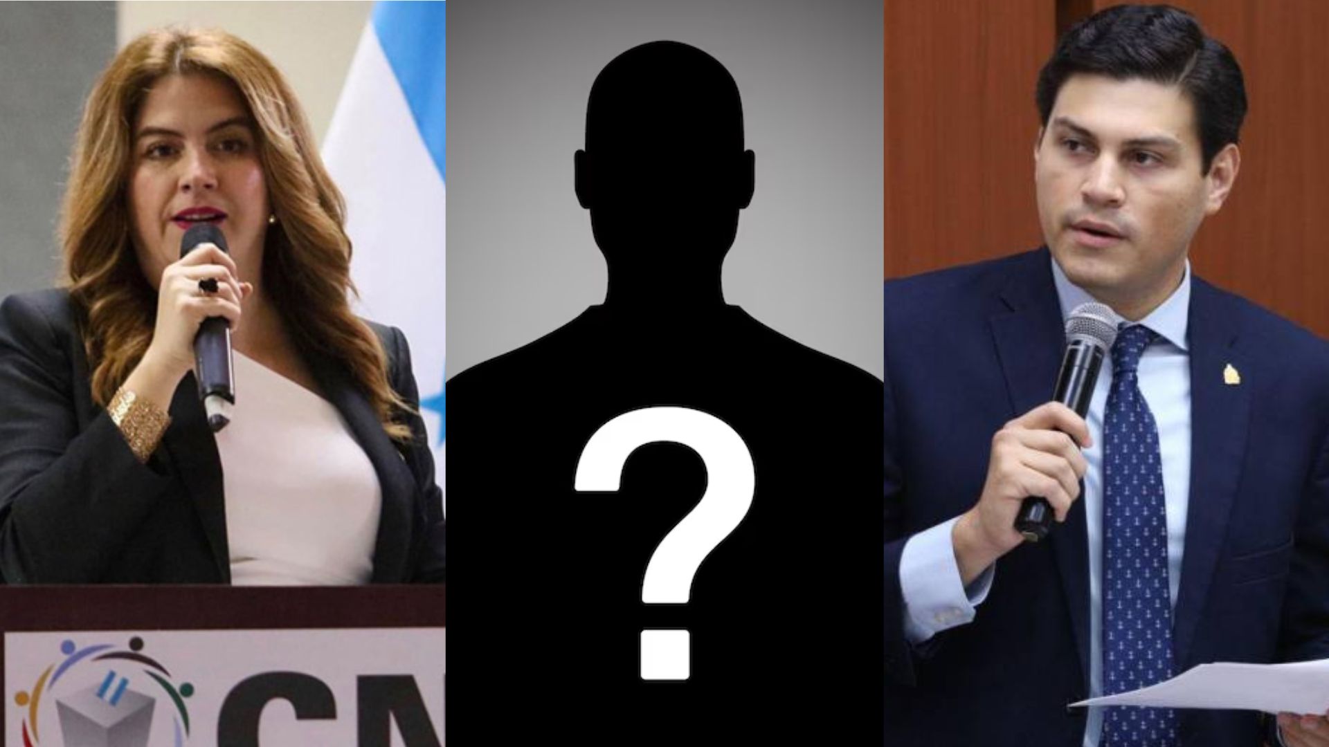 ¿Salida de Ana Paola Hall dejará vía libre a Ochoa para presidir el CNE el 30 de noviembre?