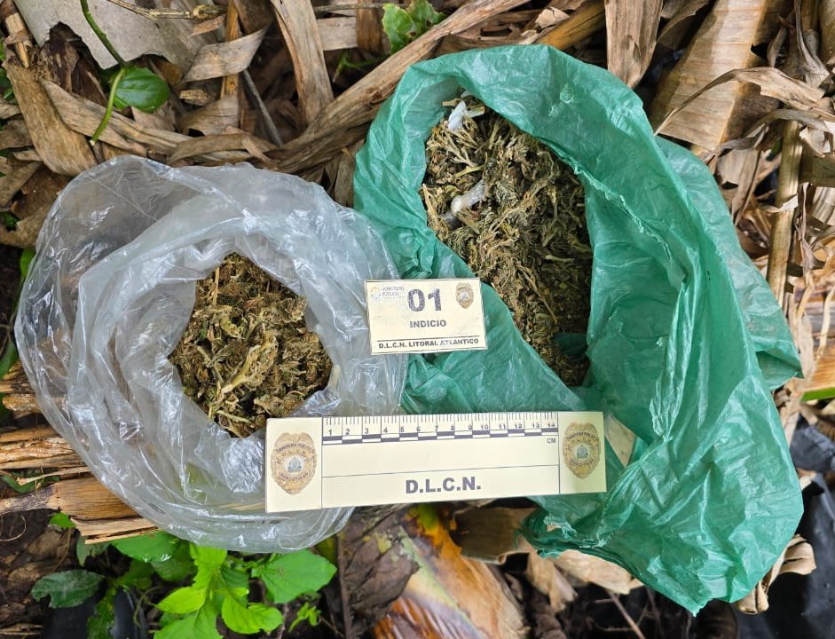 Imagen de cuerpo de nota