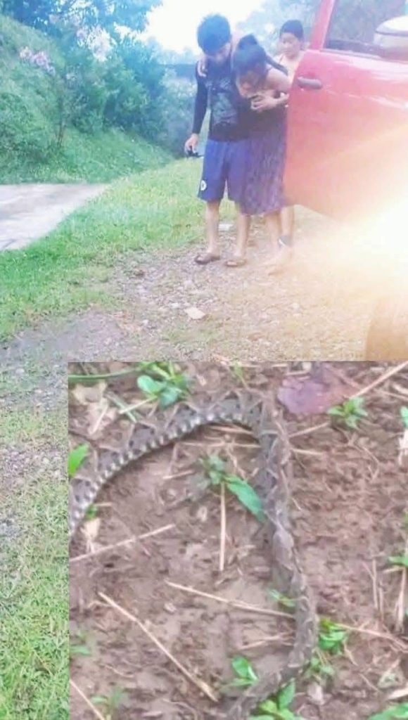 Imagen de cuerpo de nota