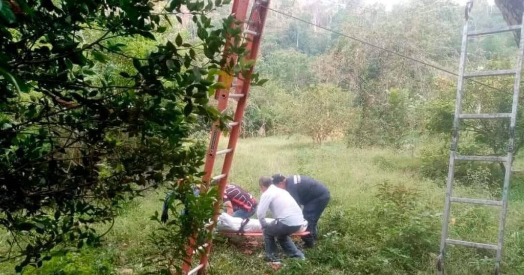 Imagen de cuerpo de nota