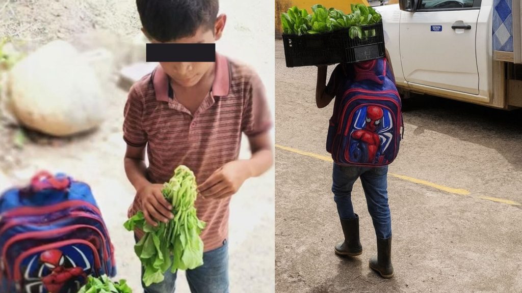 Imagen de cuerpo de nota