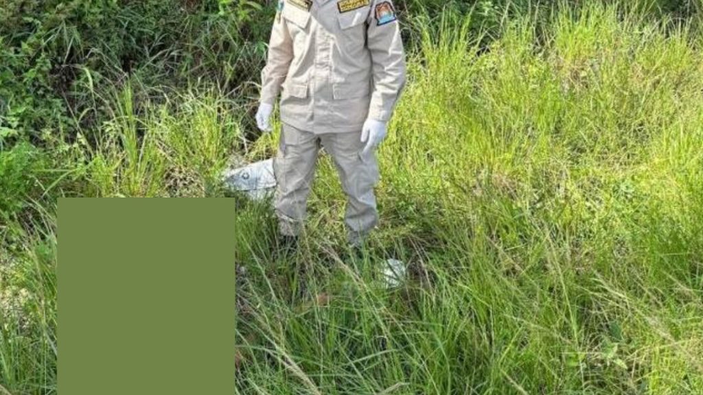 Imagen de cuerpo de nota