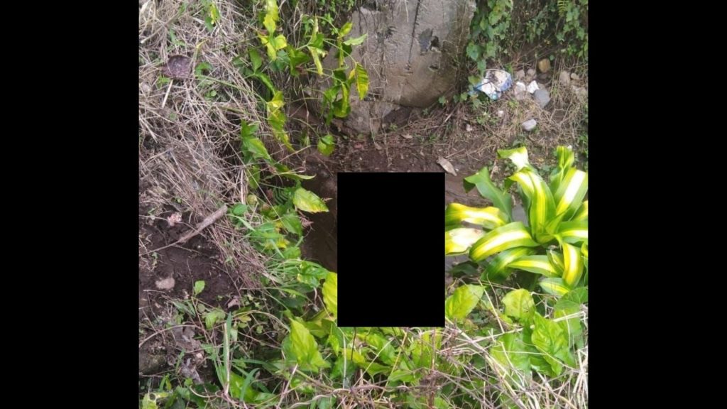 Imagen de cuerpo de nota