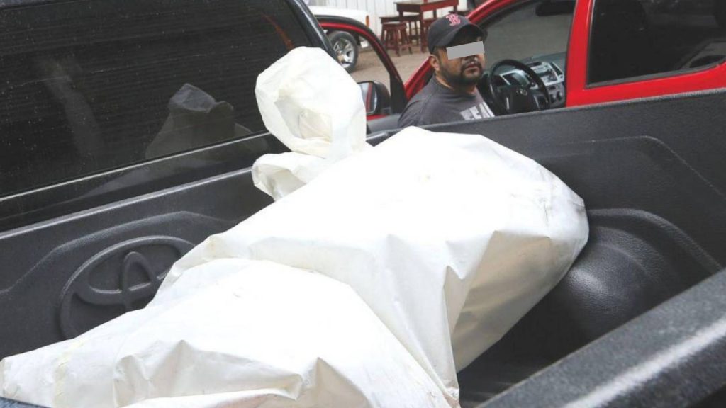 Imagen de cuerpo de nota