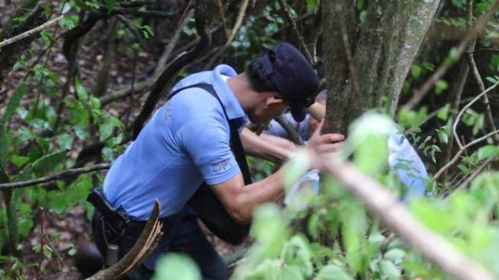 Imagen de cuerpo de nota