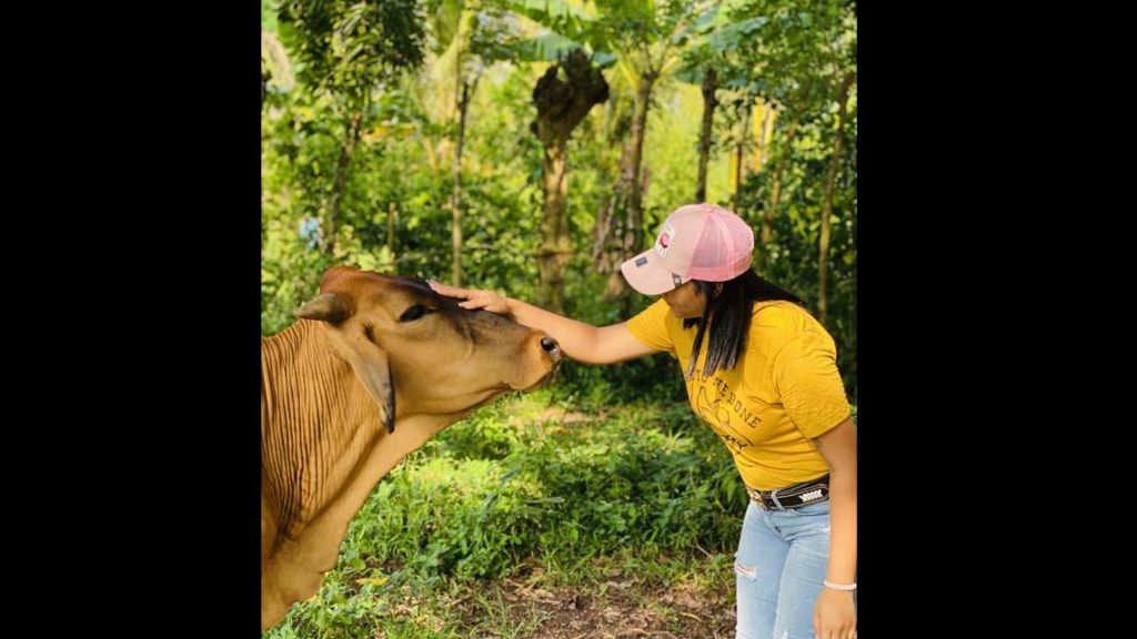 Imagen de cuerpo de nota