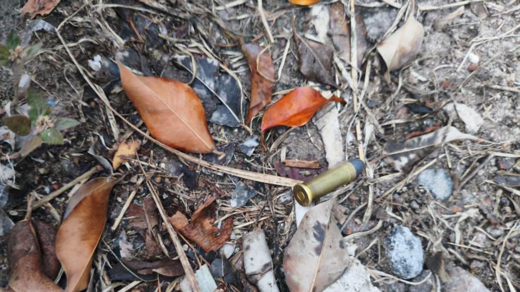 Imagen de cuerpo de nota