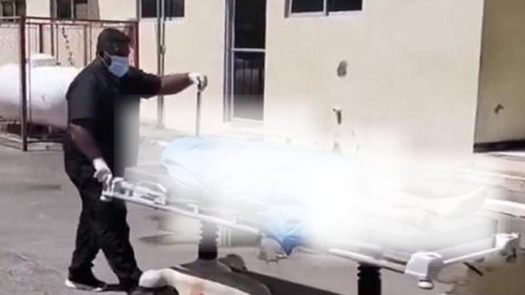 Imagen de cuerpo de nota